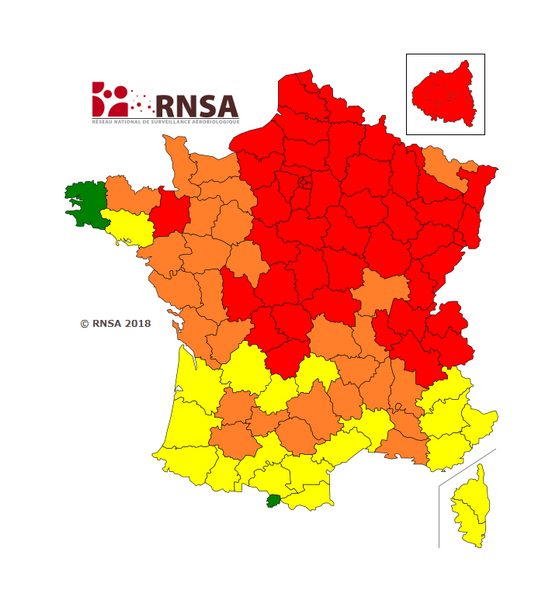 Alerte Pollen : Minimisez les risques avec notre toile anti-pollen Mariton !