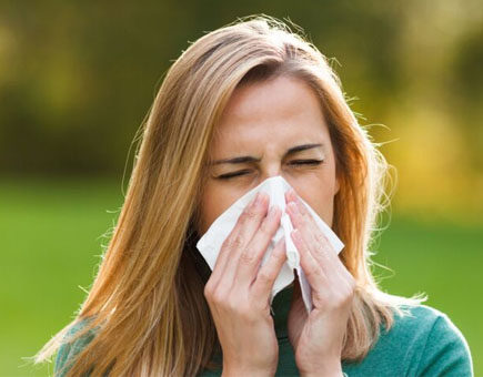 Alerte pollen en Provence : sortez les mouchoirs !